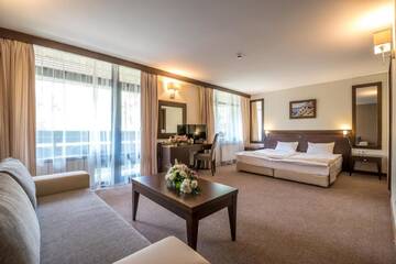 Номер-студио с бесплатным доступом в спа-центр в Отеле Lion Hotel Borovets